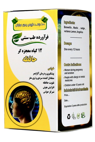 کپسول حافظه